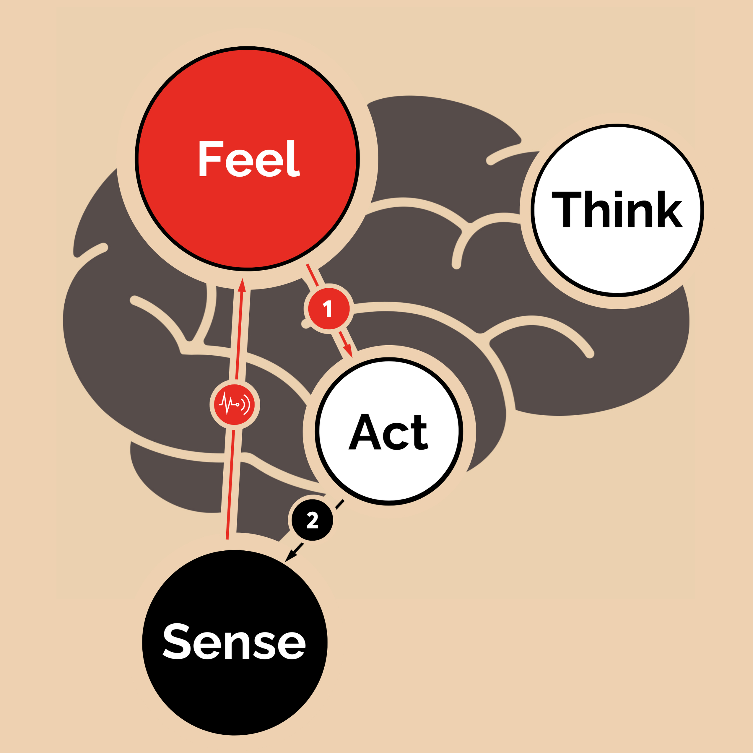 6226EF47-C848-48EF-BF03-EB32BF4CAC82