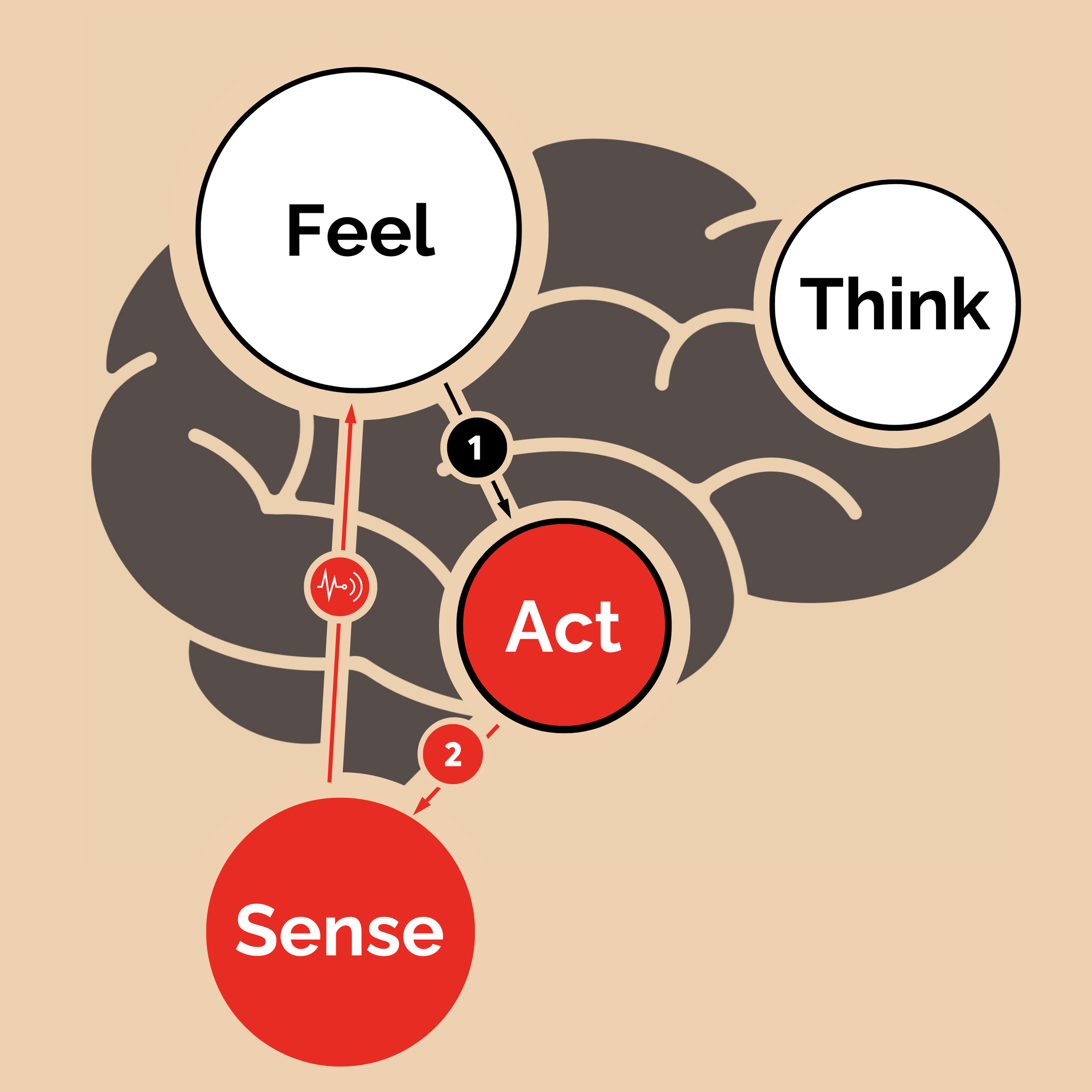 6A6D214C-EE8D-4213-ADF6-586272B986B1