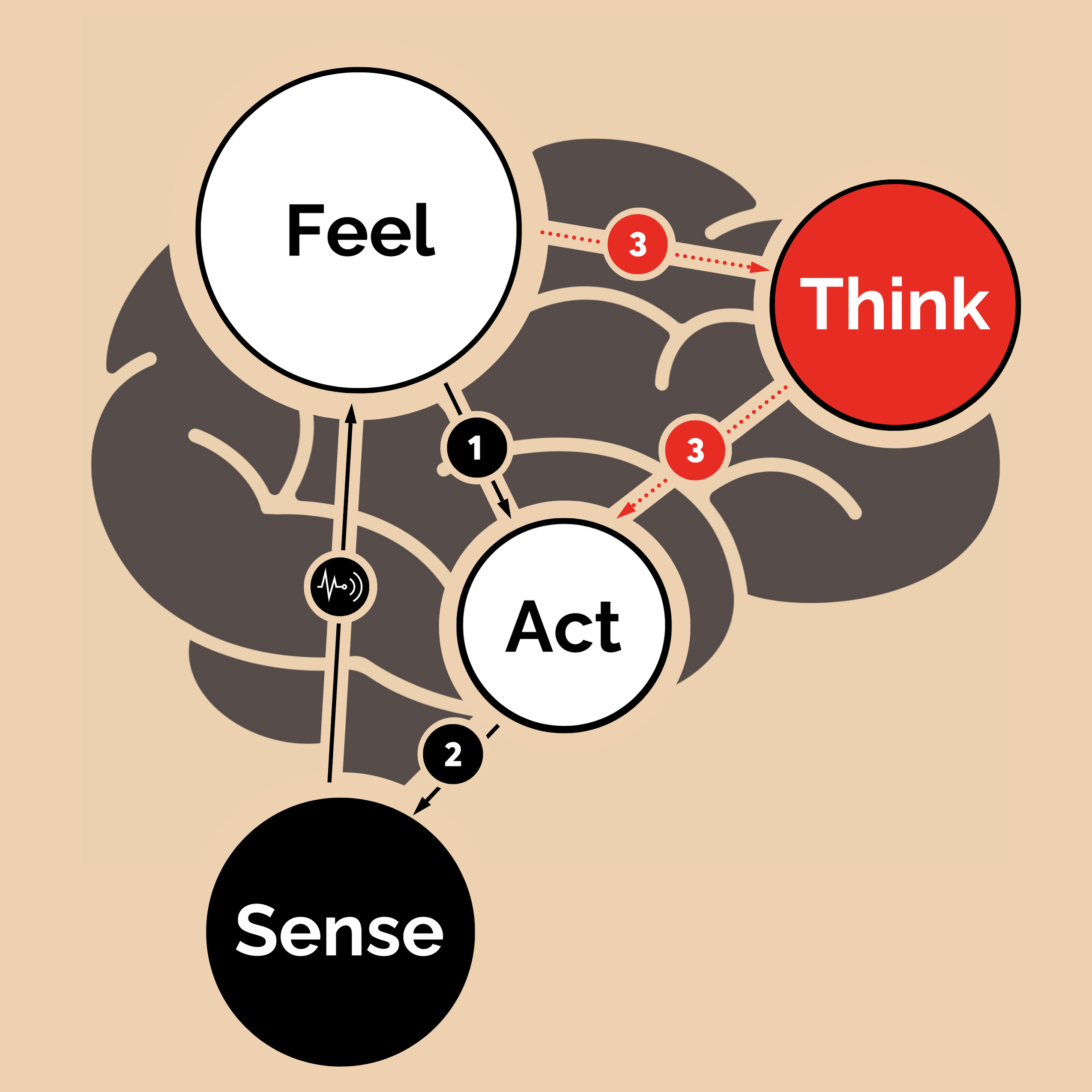 A4590FC2-1833-4139-BD14-A3FC0E83DF5D